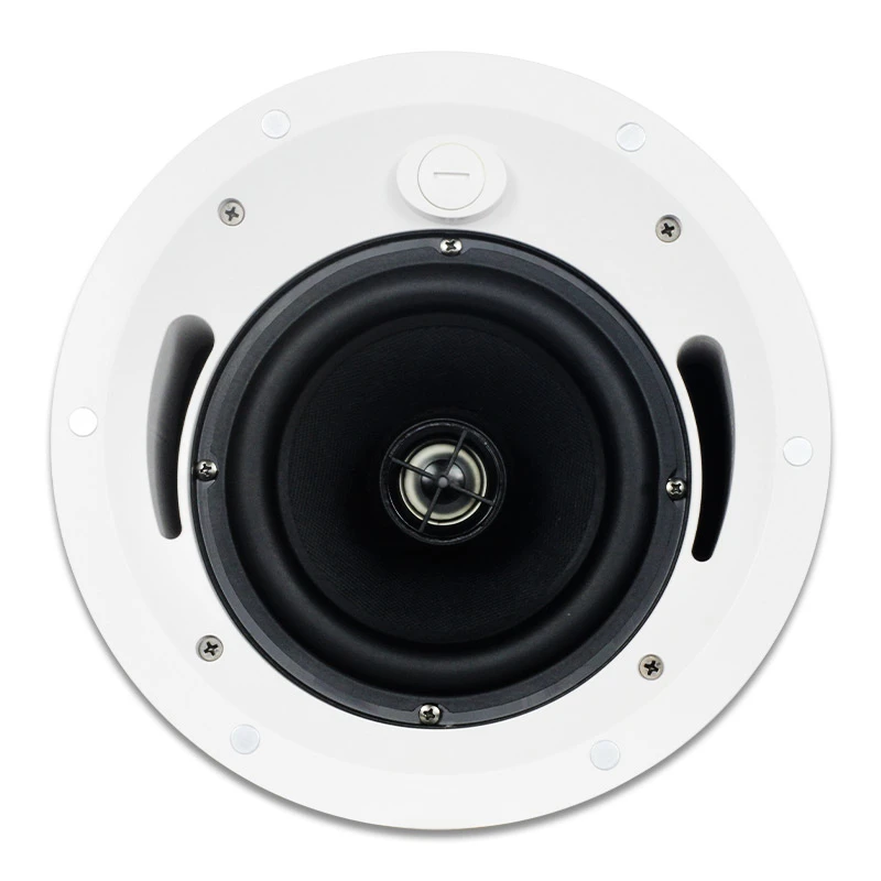 Tianlai Tl-386h Altavoz De 6.5 Pulgadas 6.5 Inch 100W 200W Home High Volume Homespeaker Ceiling Speakers