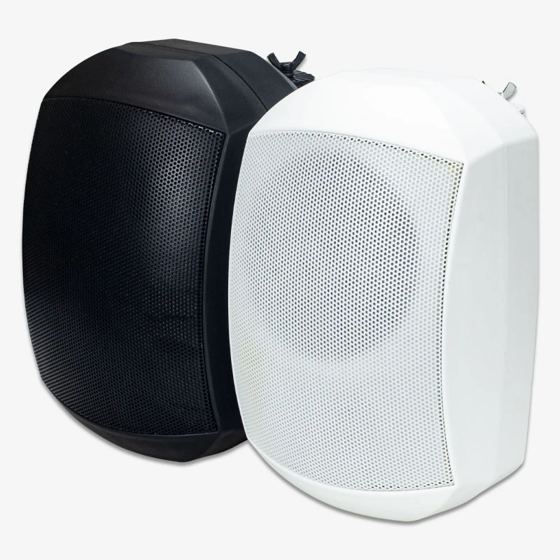Tianlai Tl-G43 Altavoz PARA Exteriores High Quality Professional 20W Speaker Outdoor in Wall Speakers