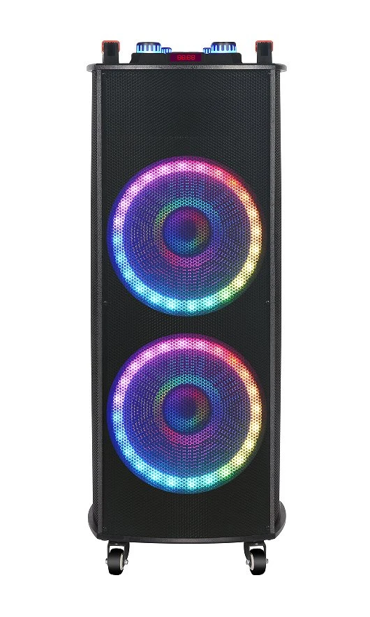 Top-Selling Party Speaker with Dual 12″ Drivers for Loud Music Ndr-1212s