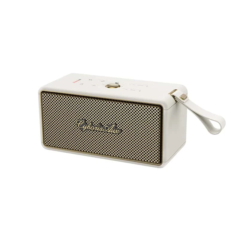 Treble Control Resilient Fashionable Party Speaker for Meeting