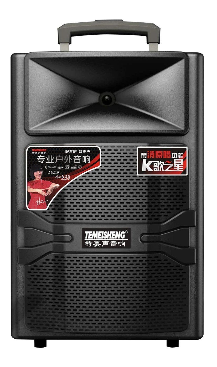 Trolley Speaker 12 Inch Sound Box Speaker Professional DJ Bass Active Subwoofer Home
