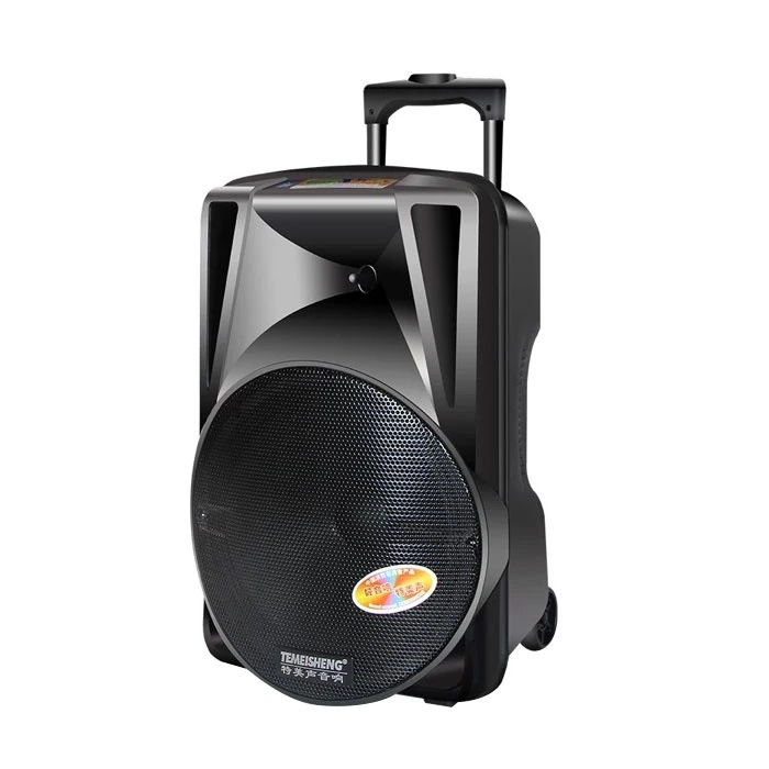 Trolley Speaker with Wireless Microphone Speaker Sound System Home Theater