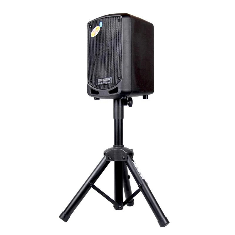 Tws Boss 6.5 Inch Trolley Speaker TF SD Card Support Powerful Rechargeable USB Woofer Box Portable Bluetooth Speakers