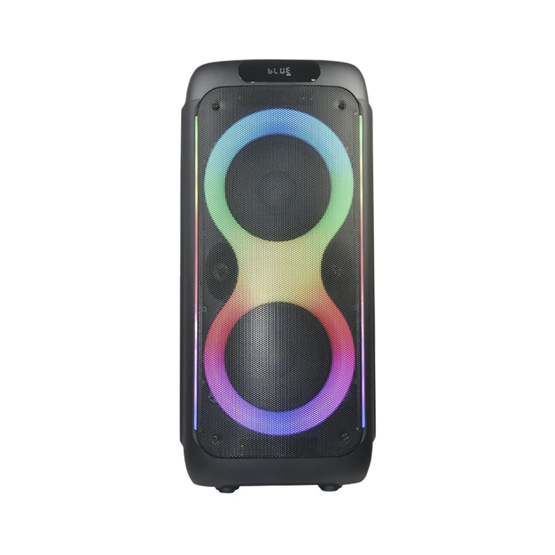 Tws Dual 10 Inches Bass Radio Sound Big Wireless Outdoor Portable Blue Tooth Speaker with Karaoke Function/RGB Lights