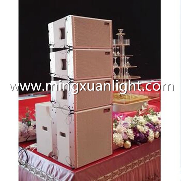 Vera10n Line Array Speaker
