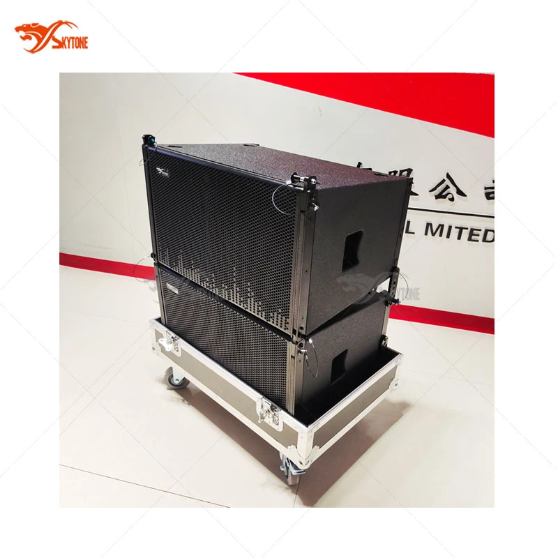 Vera12p 12 Inch DSP Professional Concert Stage Audio Sound Speakers Active Line Array Speakers