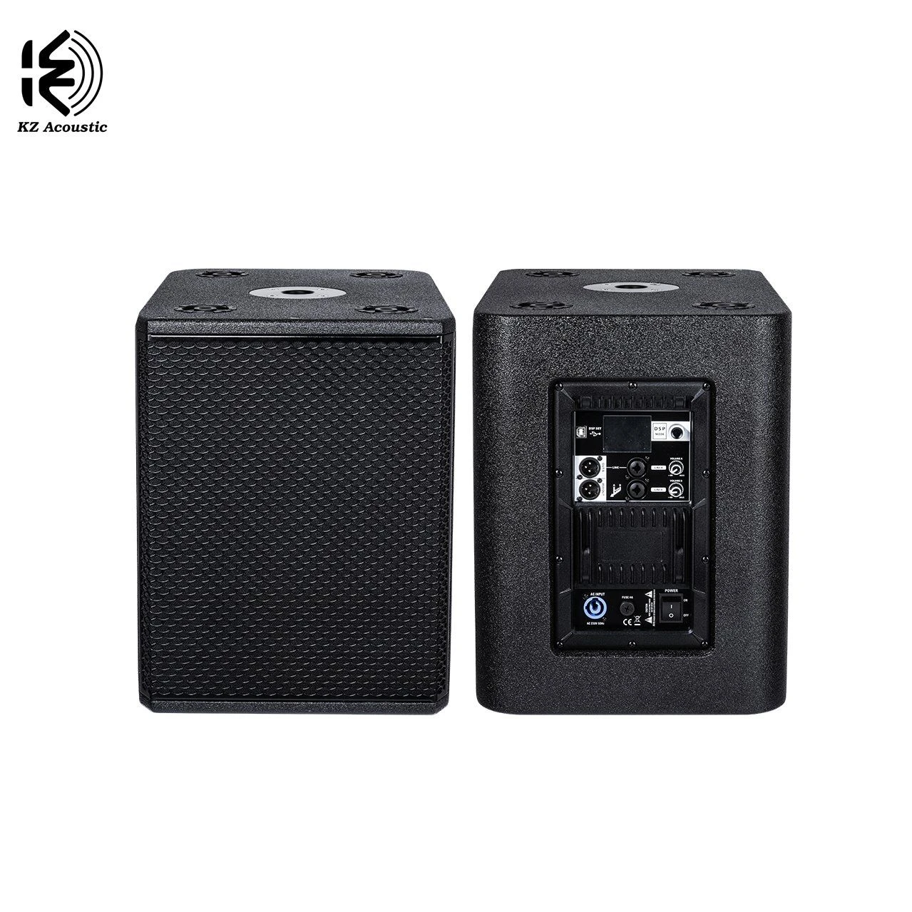 Vtx10SA 50-150Hz Frequency Response PA Subwoofer