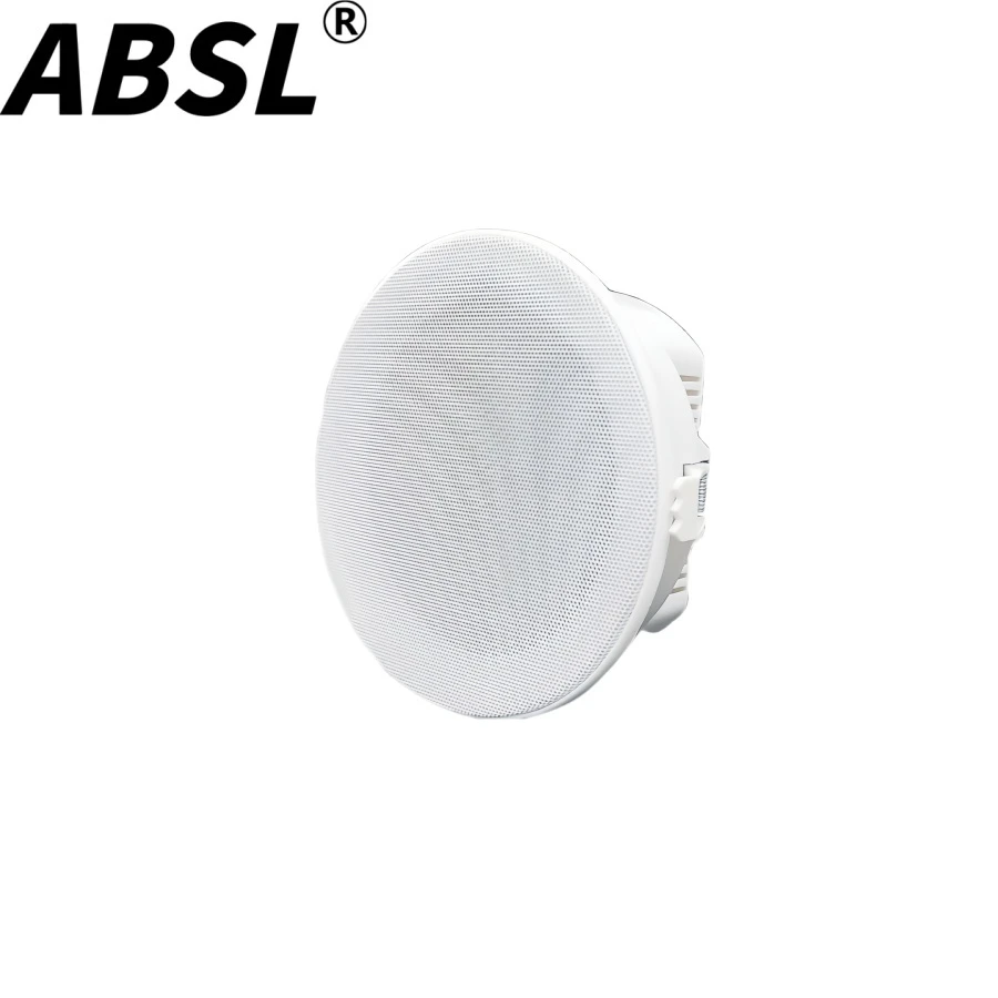 Wholesale 2*10W 5” Active Sound Music Ceiling Speaker Bluetooth Speaker for Home