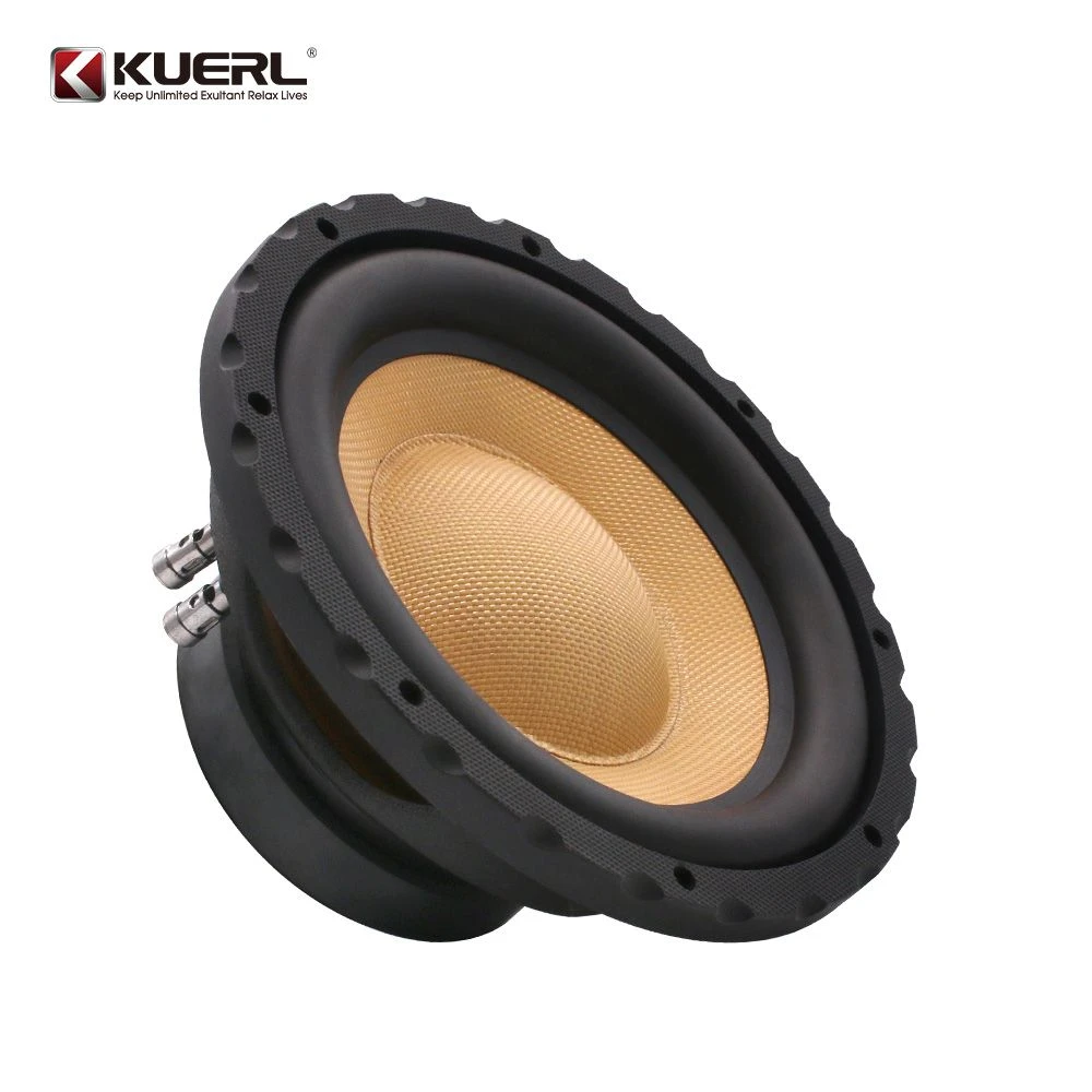 Wholesale Car Audio System 10-Inch Woofer, 1000W High Power, Woven Cone Bass