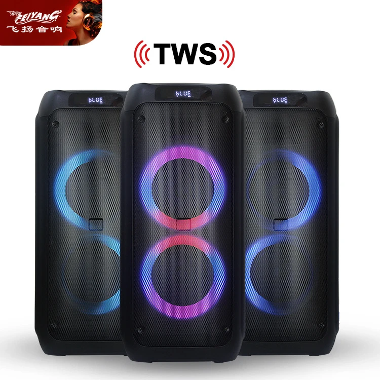 Wholesaler Echo Bt Audio Electronic Party Wireless Dual 8 Inch Outdoor Karaoke Speakers