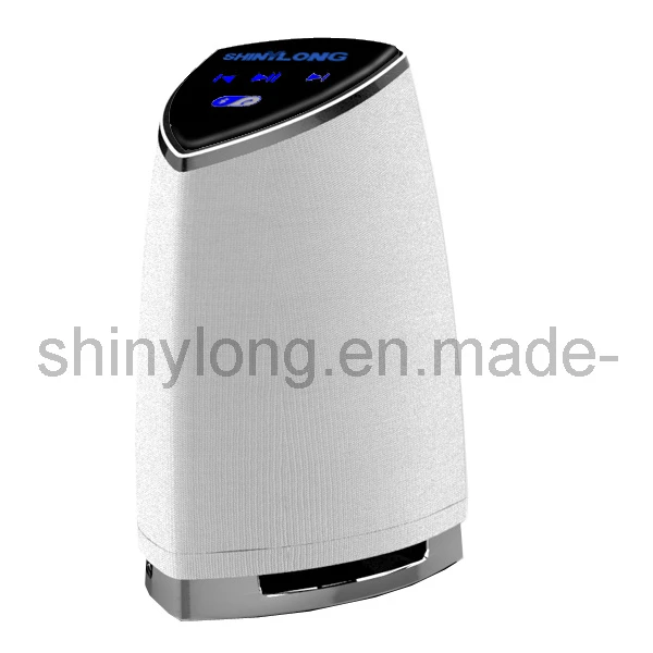 Wireless Portable Bluetooth Speaker (V527GY)