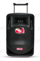 Wireless Speaker