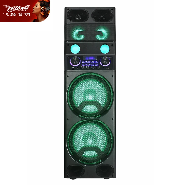 Wood Party Dual 10 Inch Speakers Outdoor DJ High Power