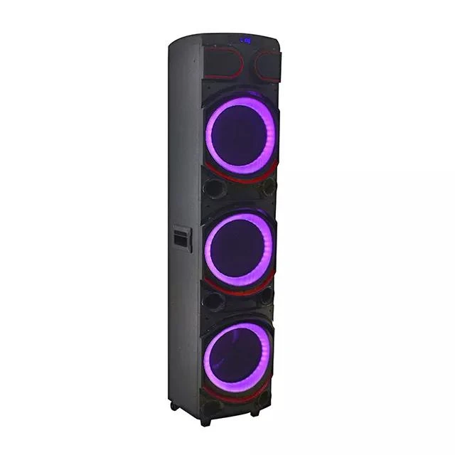 Wooden Cabinet Large Size 10 Inch Powerful Audio Box 160W Portable Bluetooth Wireless Speakers with LED Light