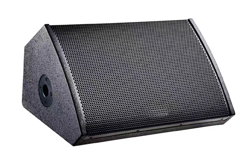 X12 12 Inch Active PRO Stage Monitor Speakers